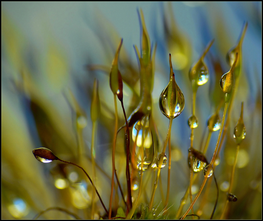 Nach dem Regen...