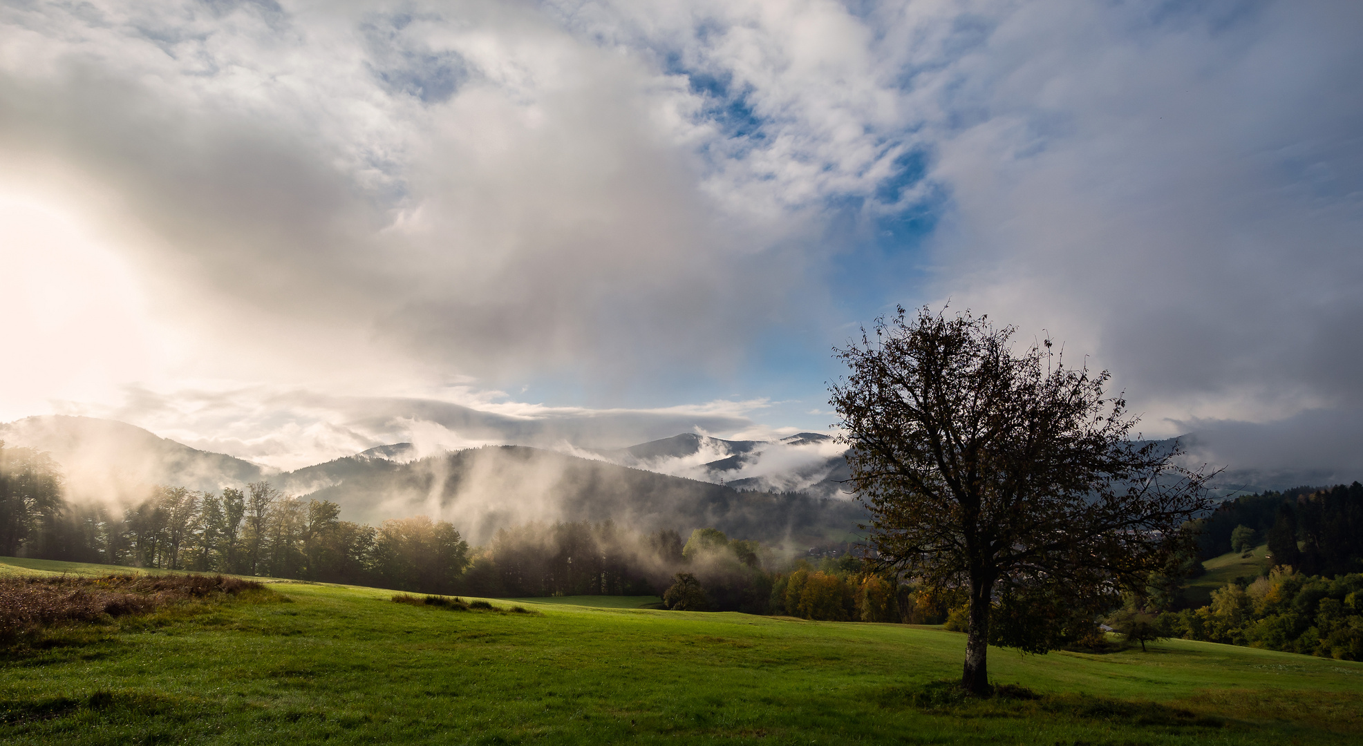 Nach dem Regen.