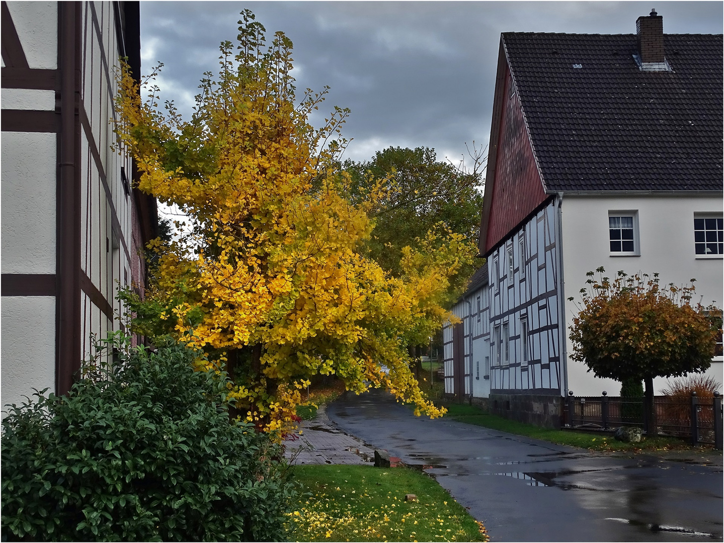 Nach dem Regen ...