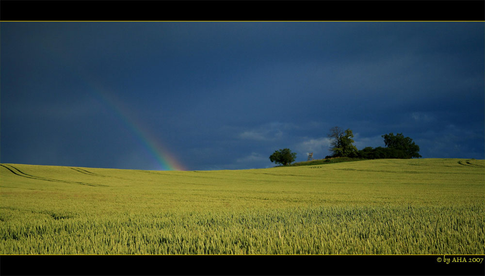 Nach dem Regen