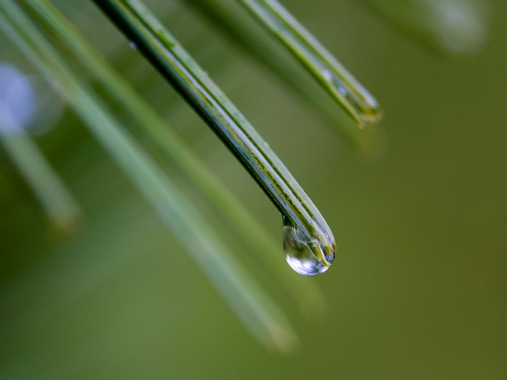 nach dem Regen