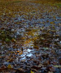 nach dem Regen