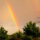 Nach dem Regen