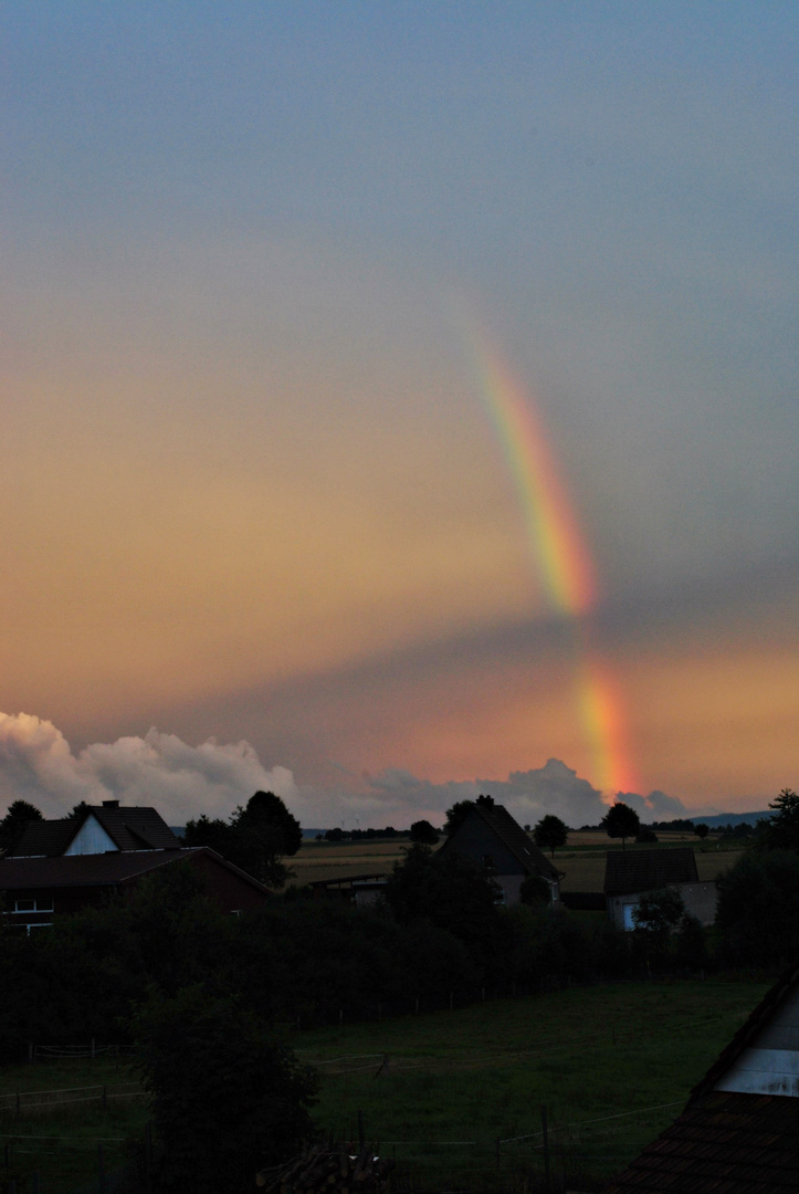 Nach dem Regen..