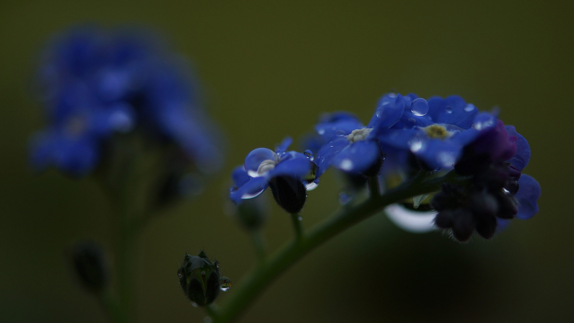 nach dem Regen