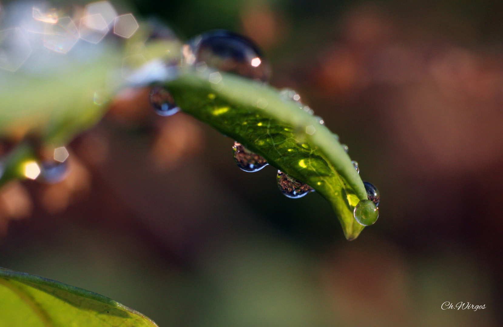 Nach dem Regen