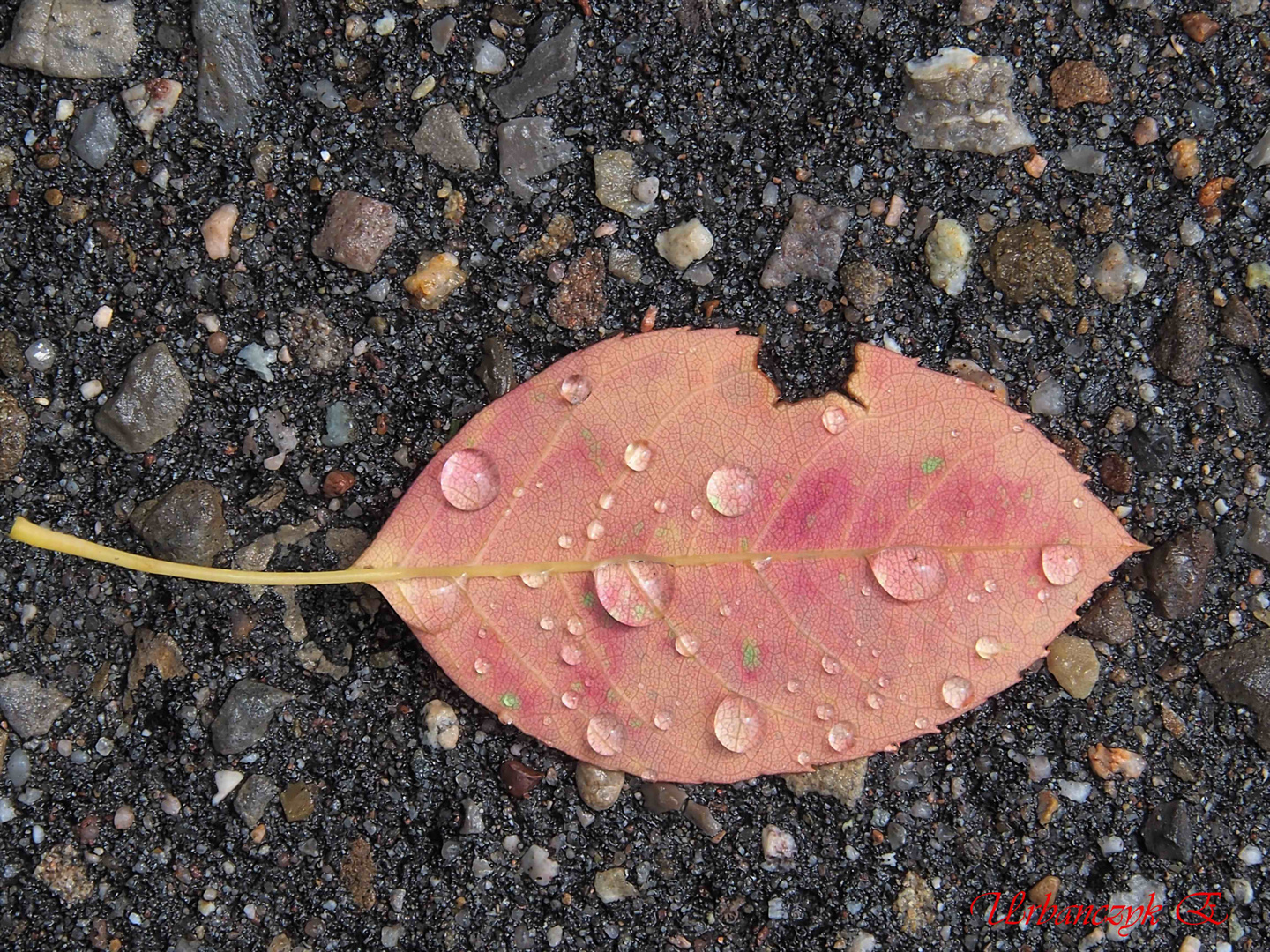 Nach dem Regen