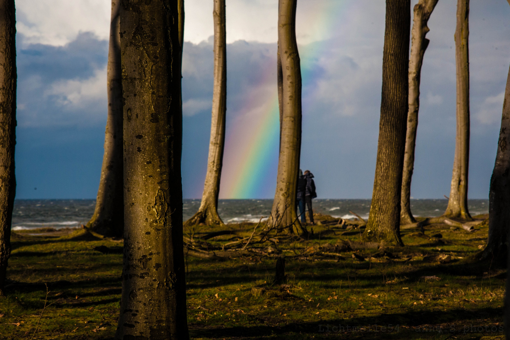 Nach dem Regen