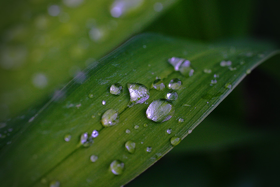 Nach dem Regen