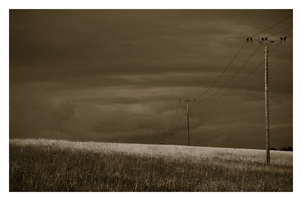 Nach dem Regen