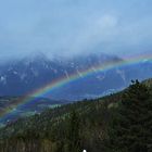 Nach dem Regen