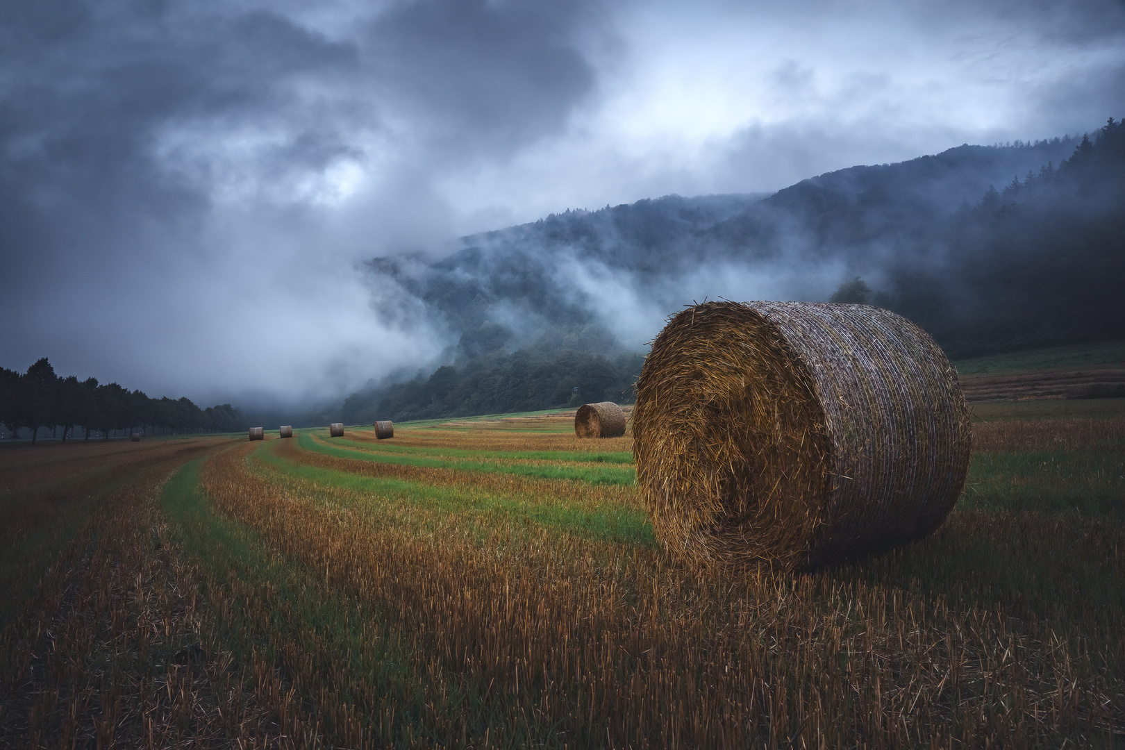 Nach dem Regen