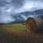 Nach dem Regen