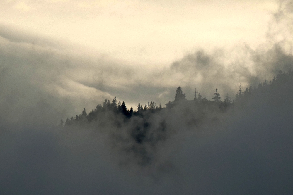 Nach dem Regen