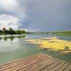 Nach dem Regen