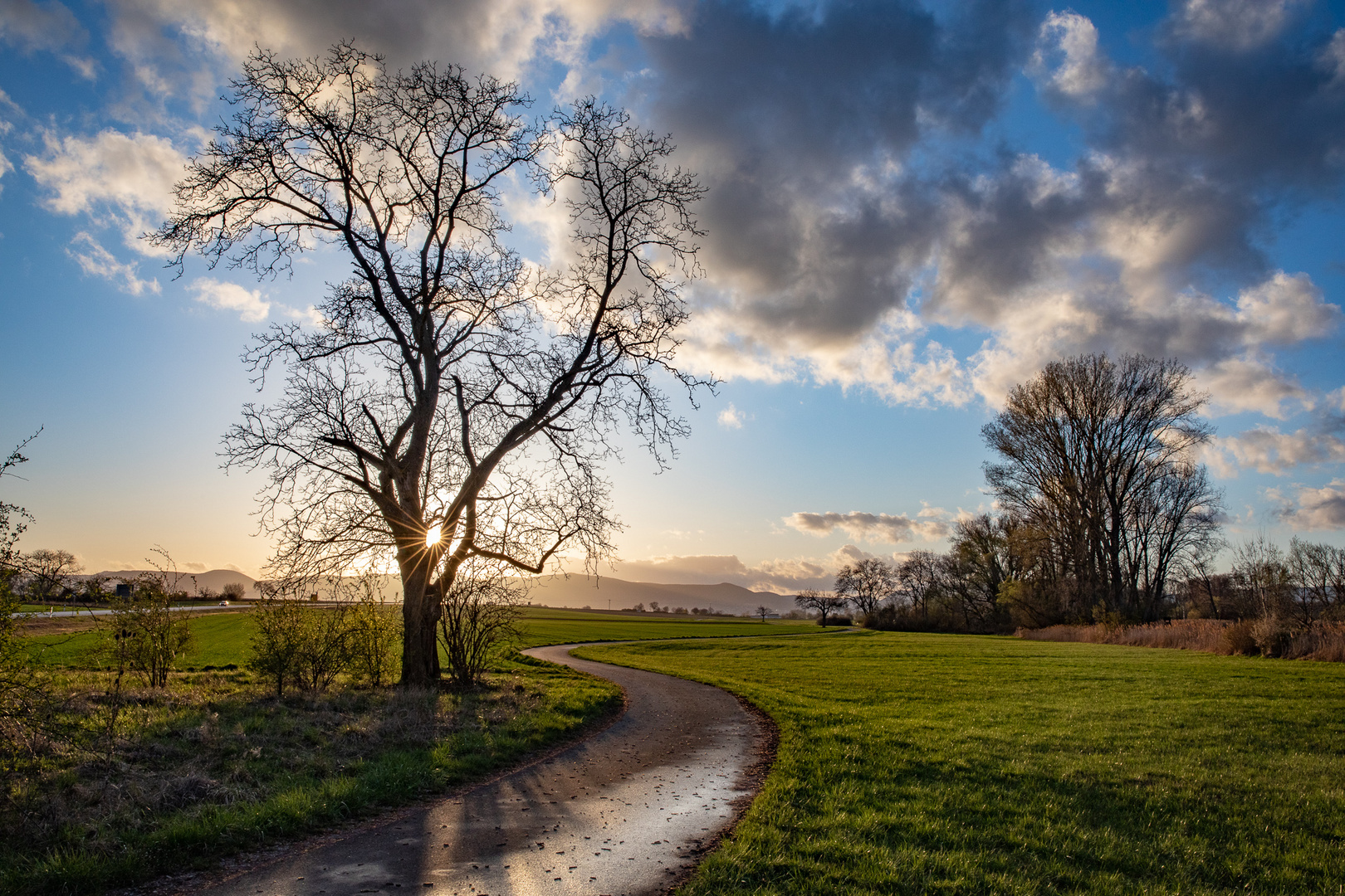 Nach dem Regen