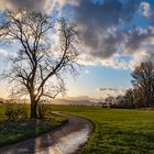 Nach dem Regen