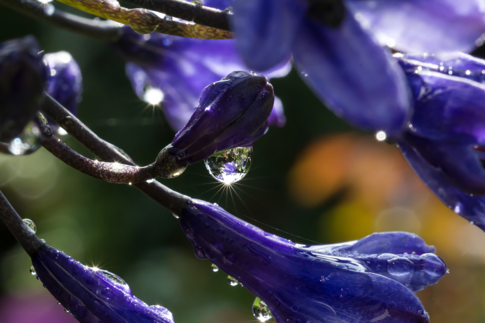 Nach dem Regen