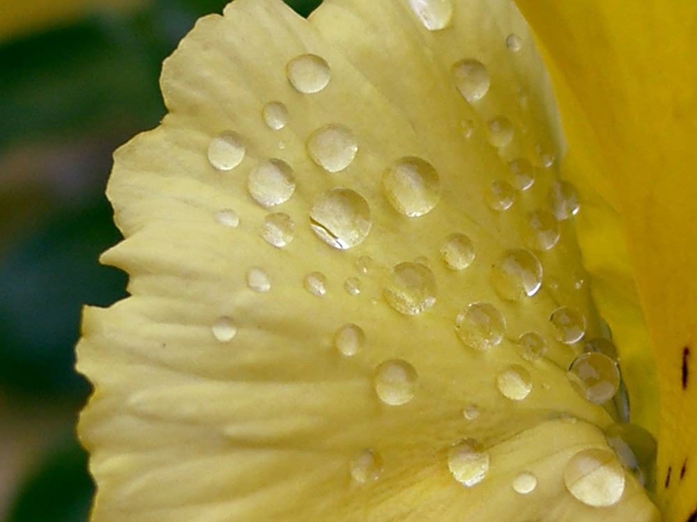 Nach dem Regen