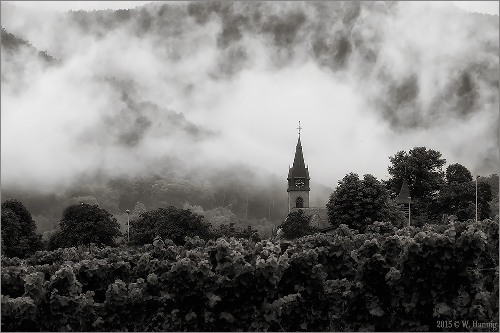 Nach dem Regen