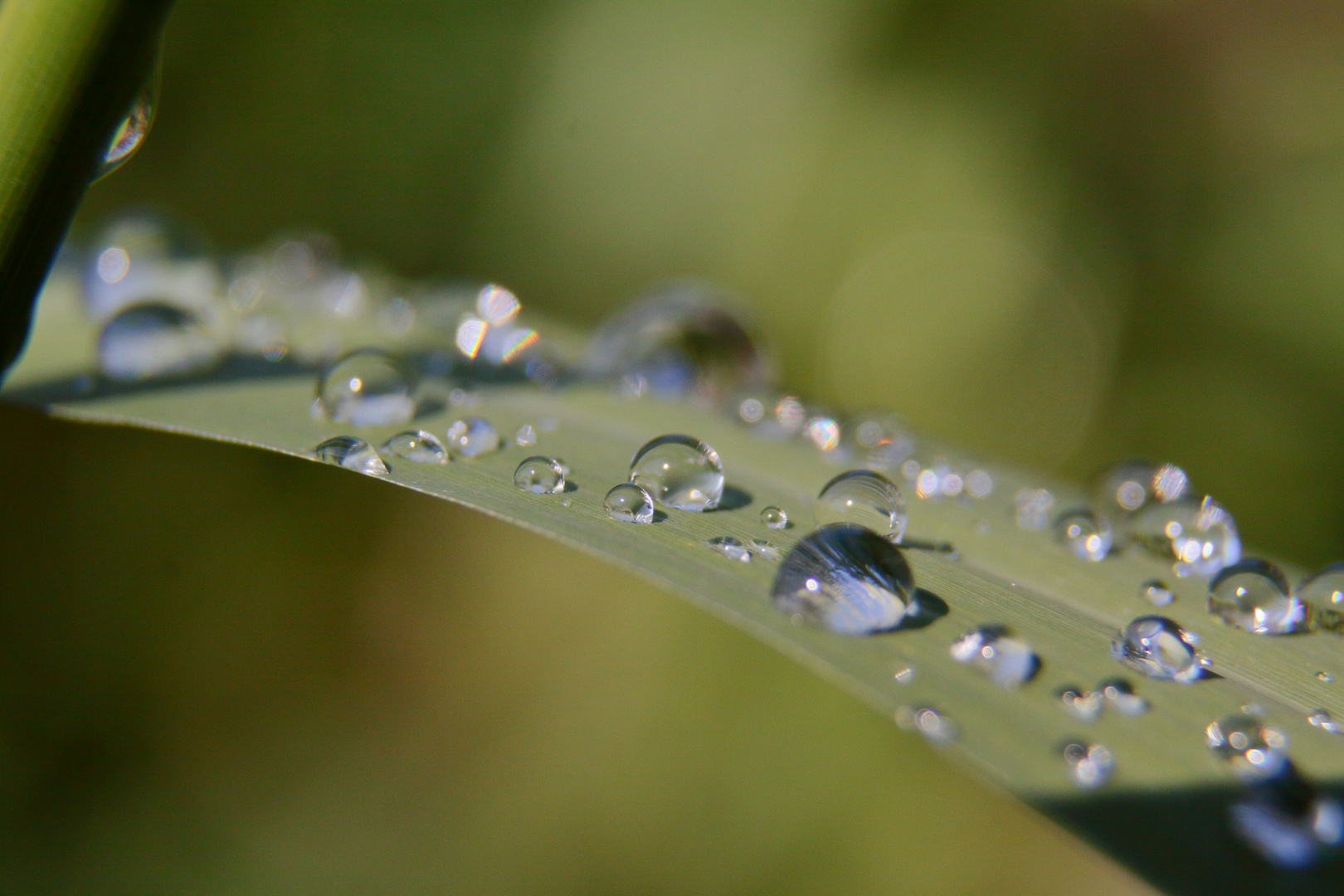 Nach dem Regen