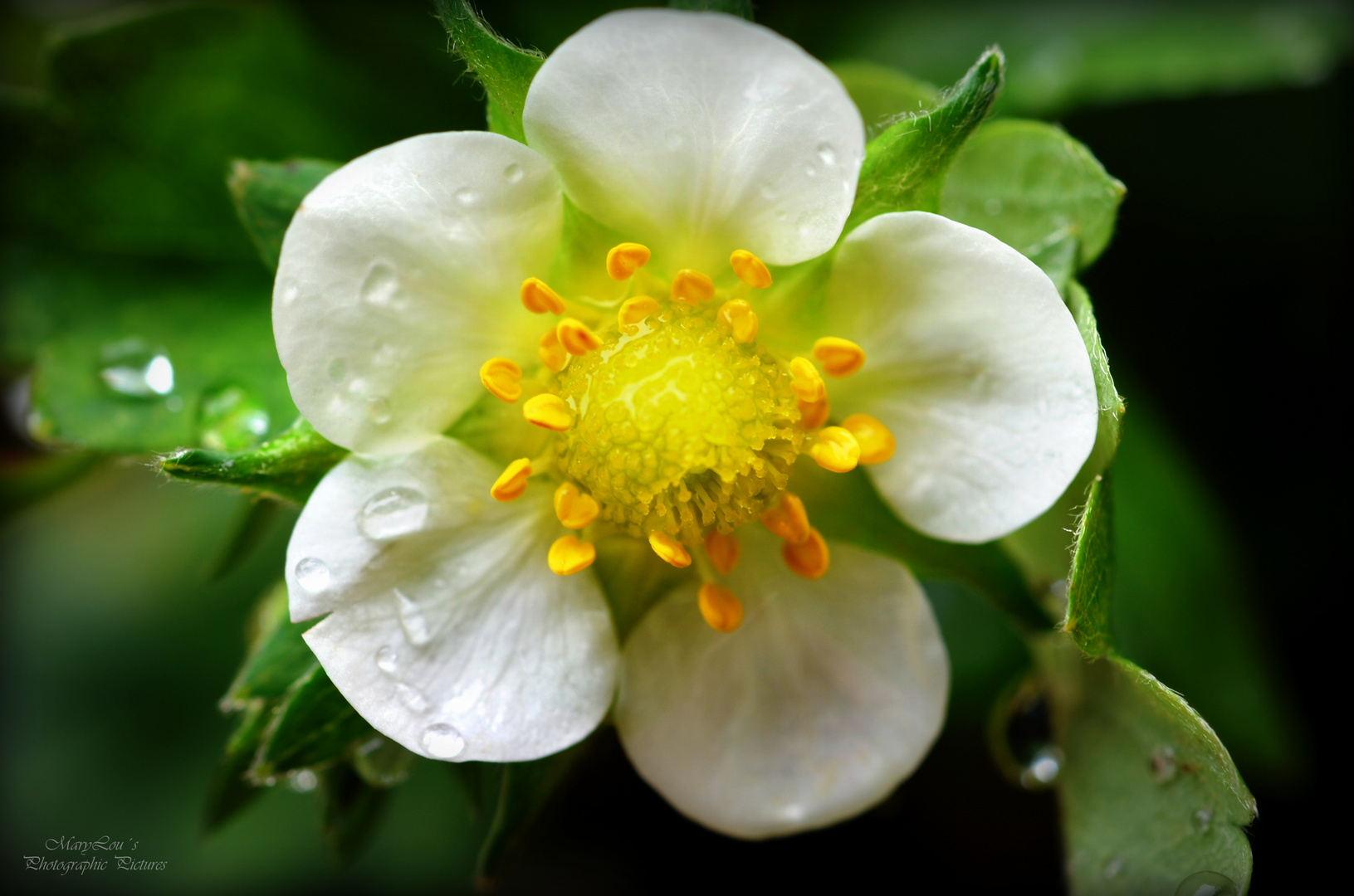 Nach dem Regen