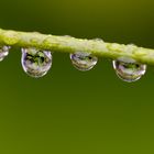 Nach dem Regen...