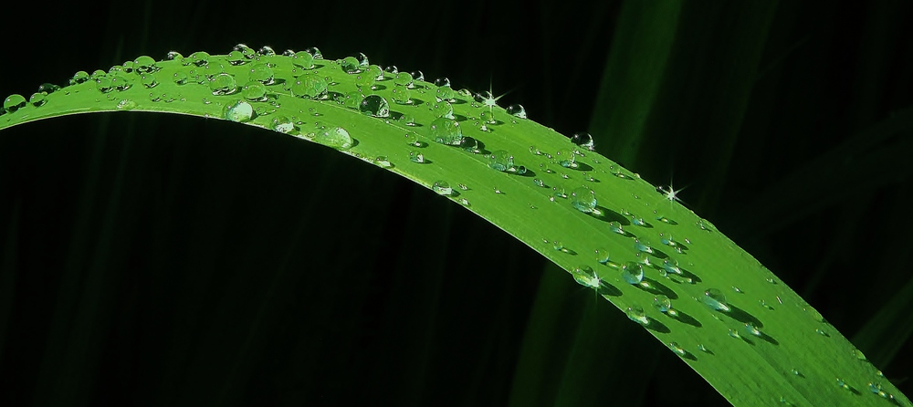 Nach dem Regen