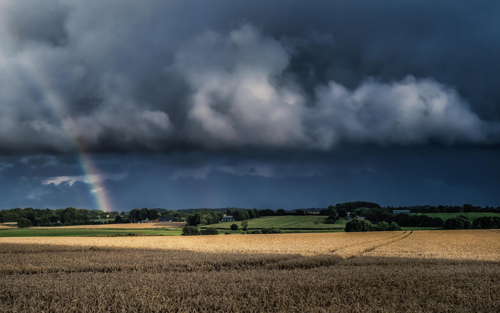 Nach dem Regen