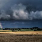 Nach dem Regen