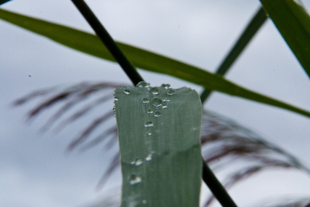 Nach dem Regen