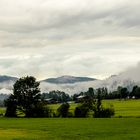 Nach dem Regen