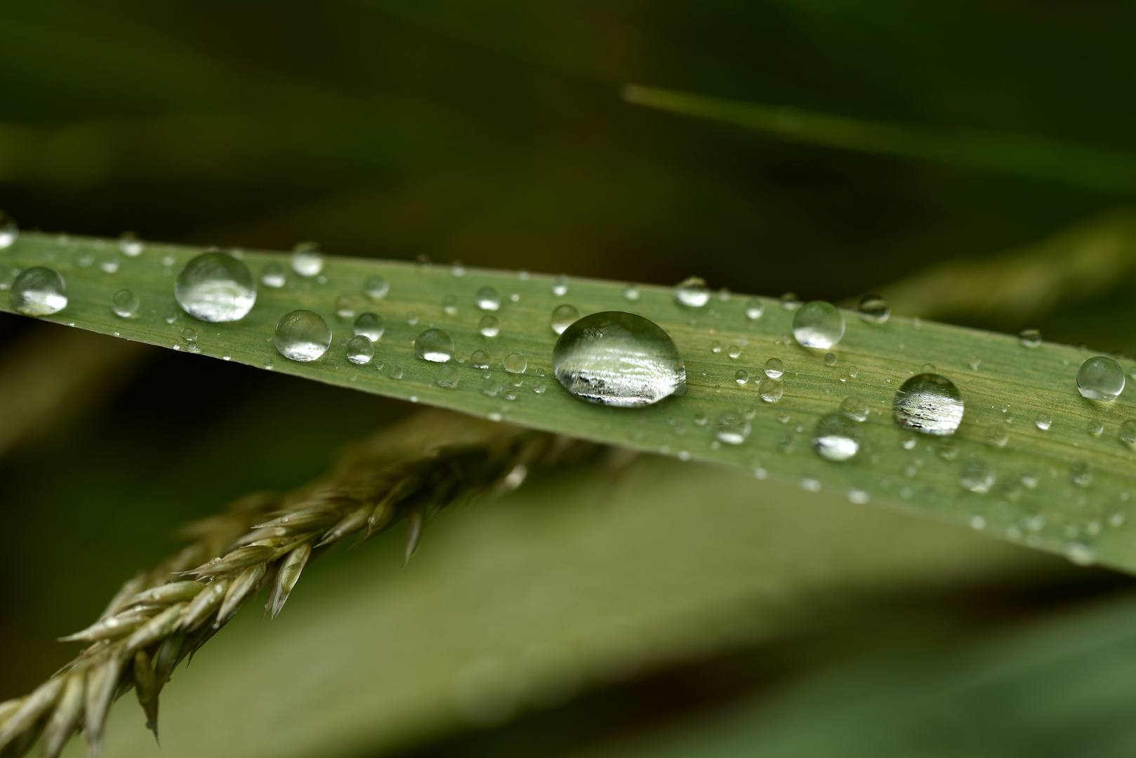 Nach dem Regen