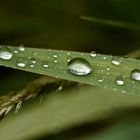 Nach dem Regen