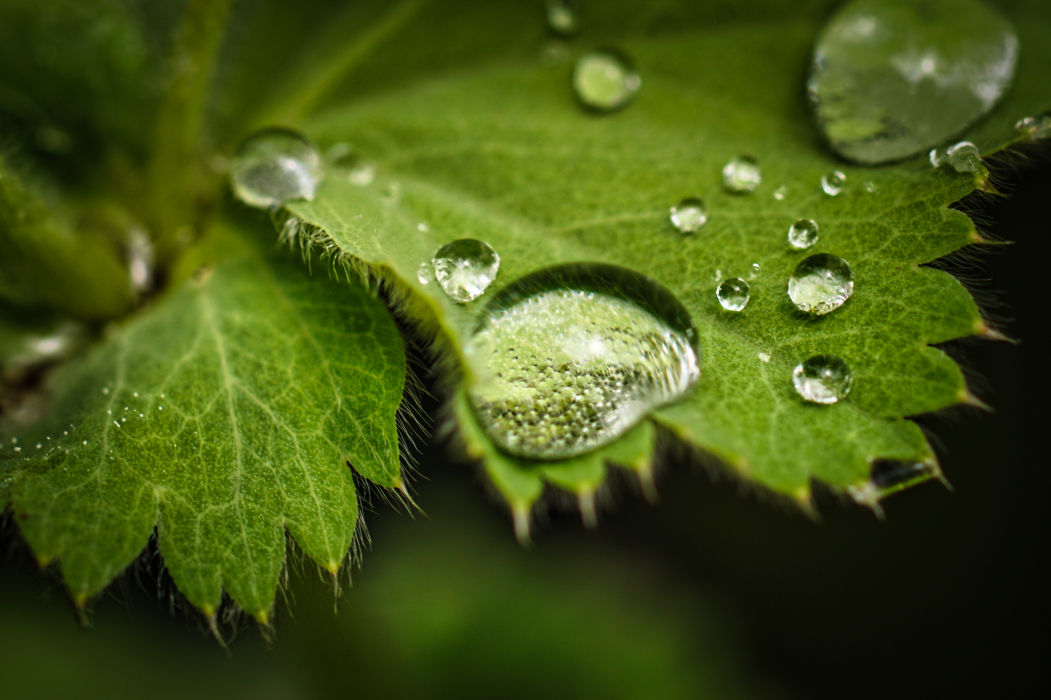 Nach dem Regen