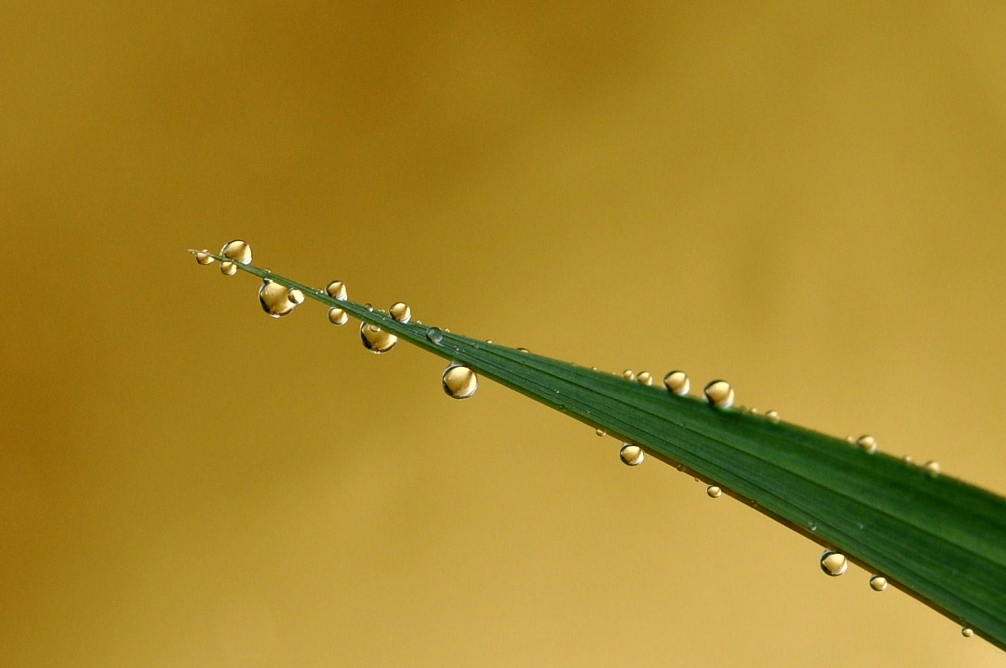 Nach dem Regen