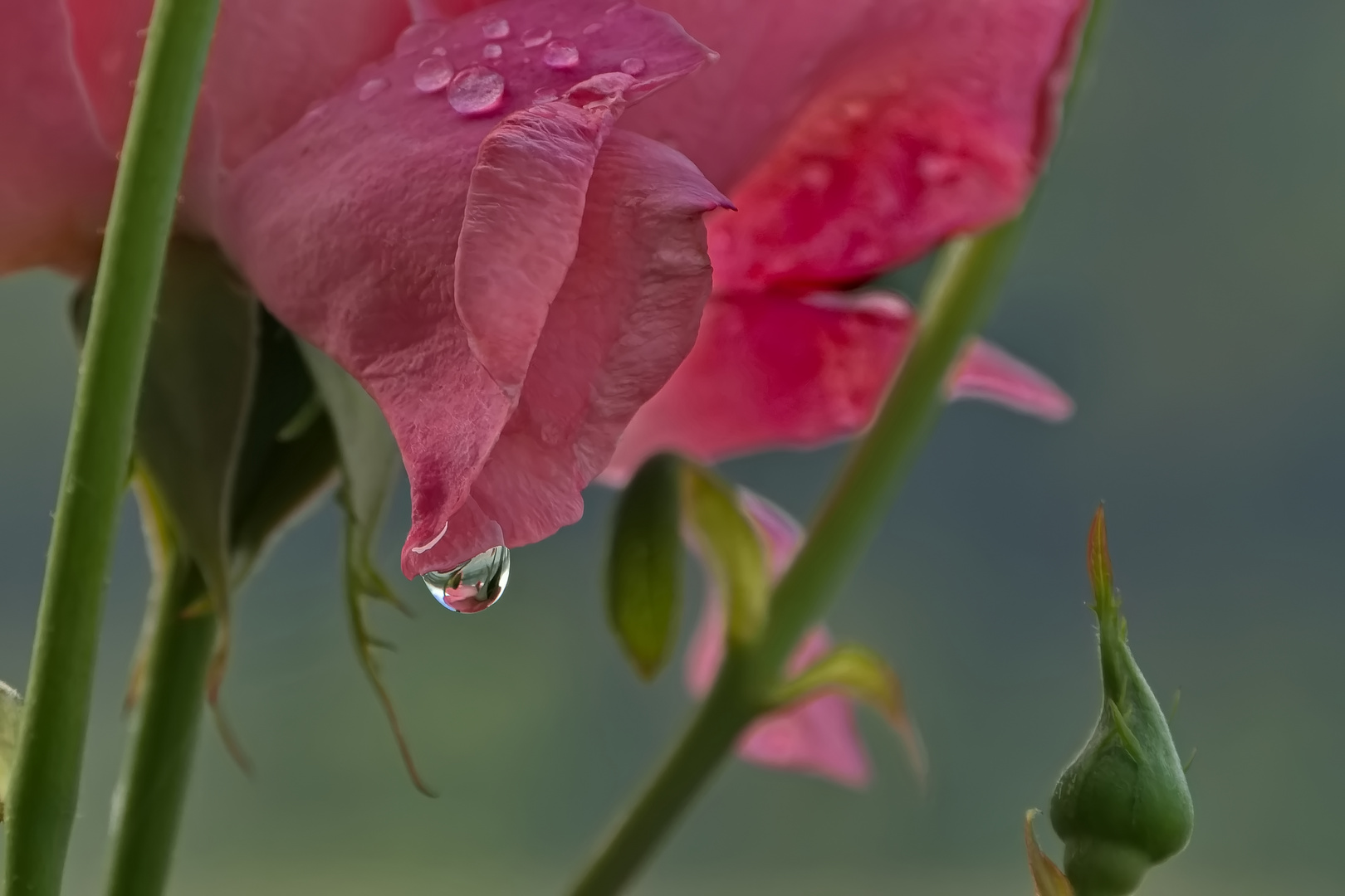 Nach dem Regen