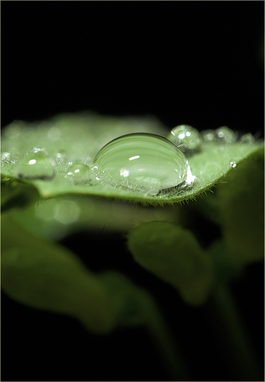 Nach dem Regen