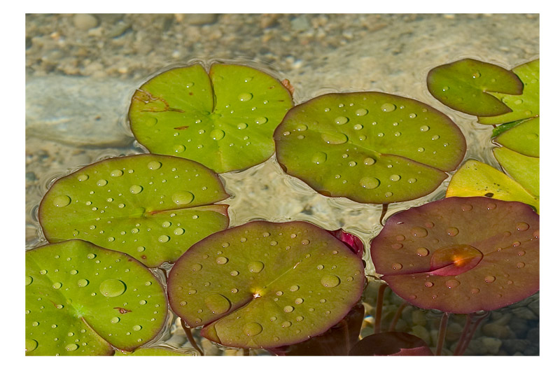 nach dem Regen...