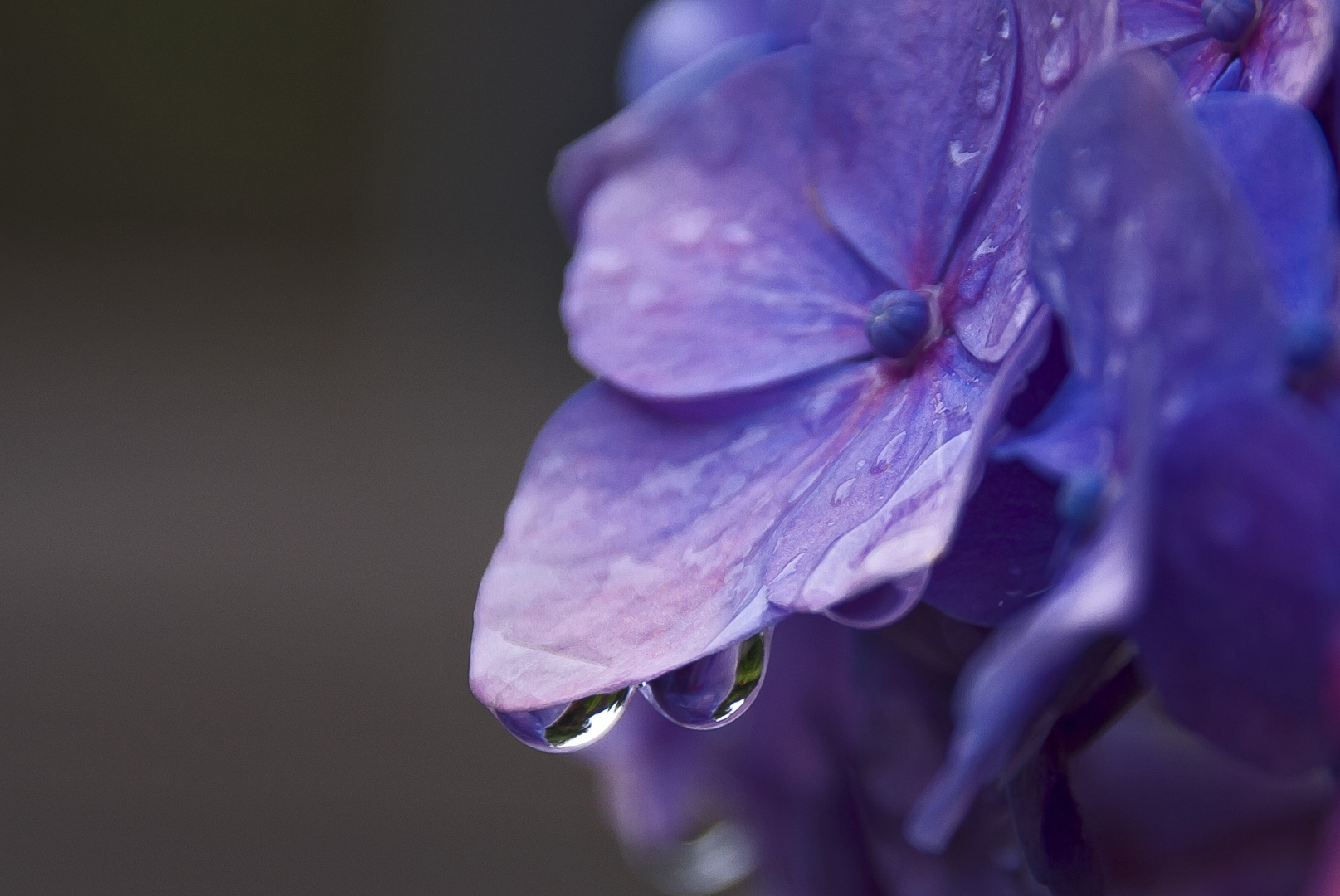 nach dem Regen...