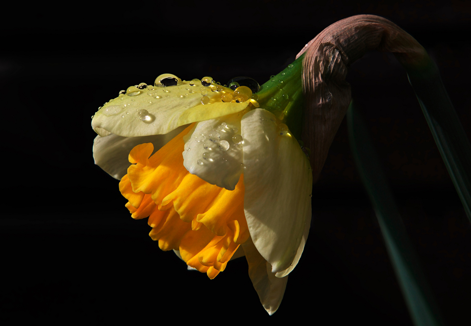 Nach dem Regen