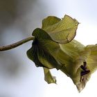 Nach dem Regen