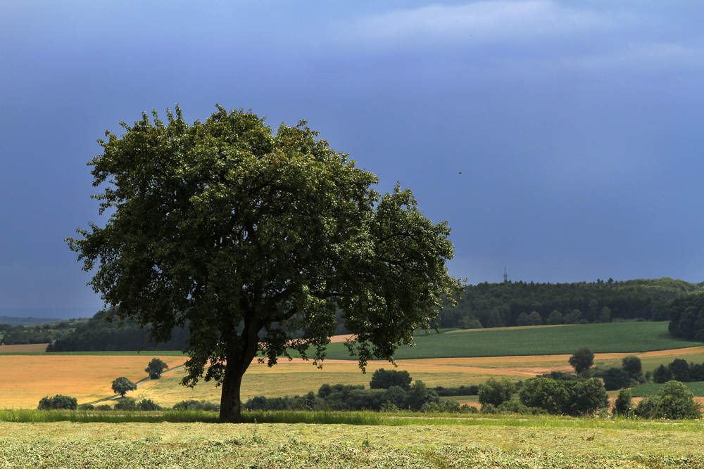 nach dem Regen