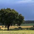 nach dem Regen