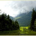 Nach dem Regen, am Hintersee