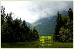 Nach dem Regen, am Hintersee