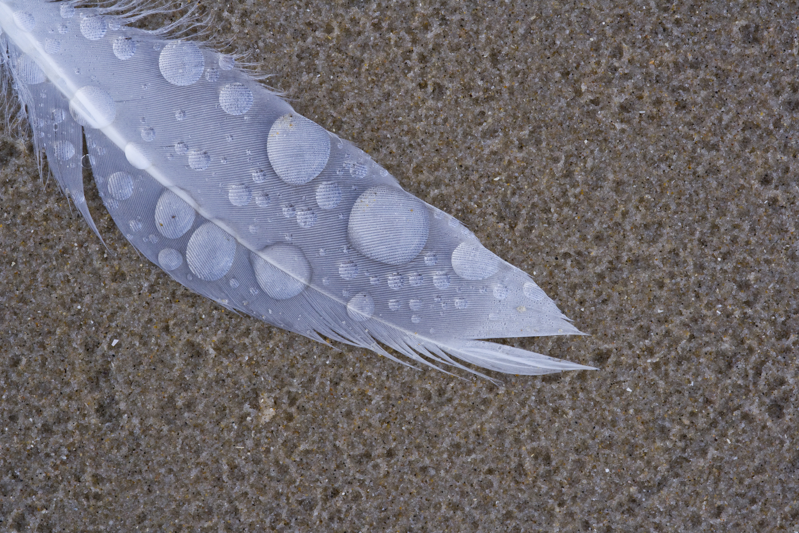 Nach dem Regen am Meer