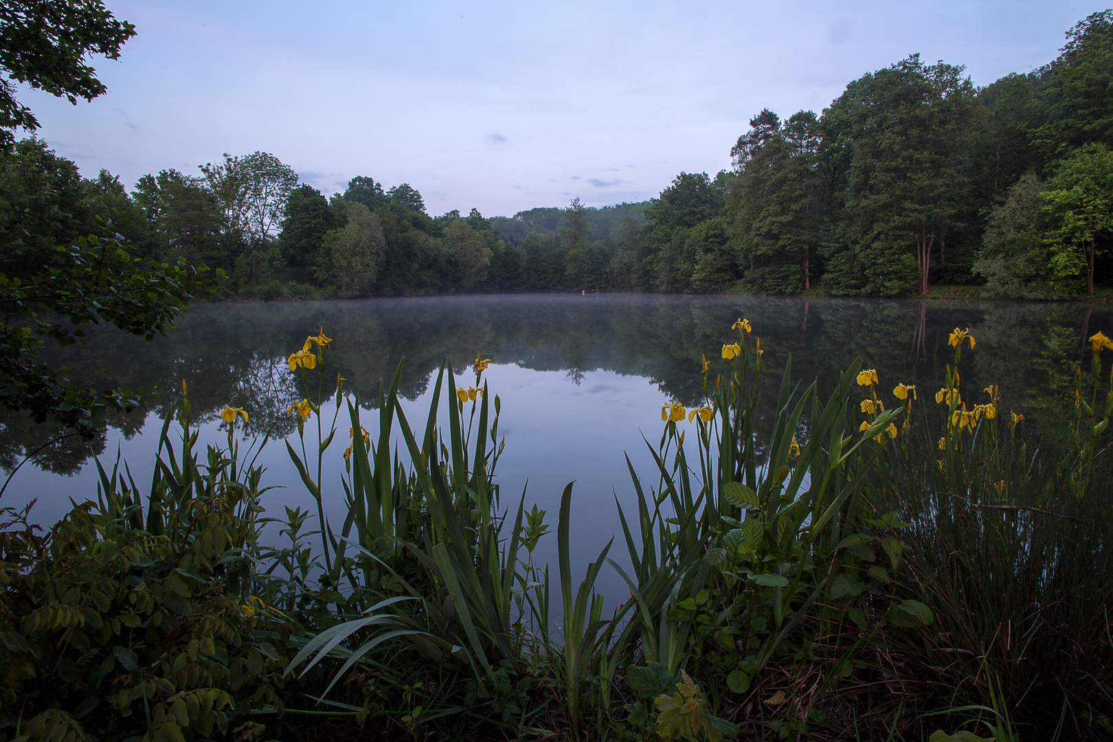 Nach dem Regen am See