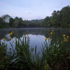 Nach dem Regen am See