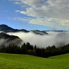 nach dem regen